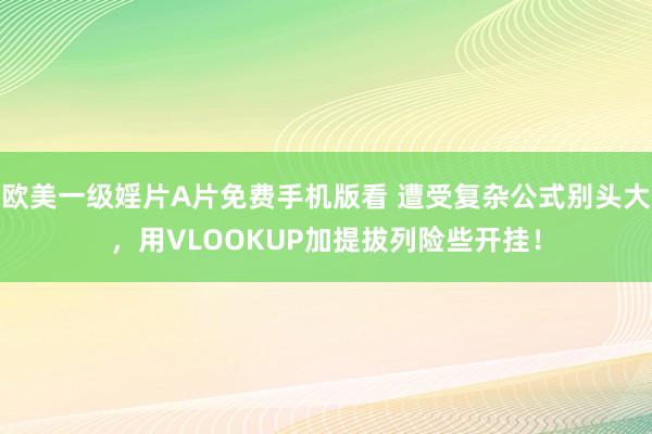 欧美一级婬片A片免费手机版看 遭受复杂公式别头大，用VLOOKUP加提拔列险些开挂！